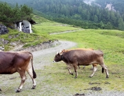 Marienberg Alm - Besuch beim neuen Hüttenwirt