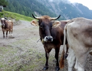 Marienberg Alm - Besuch beim neuen Hüttenwirt