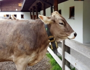 Marienberg Alm - Besuch beim neuen Hüttenwirt