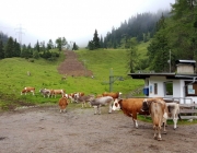 Marienberg Alm - Besuch beim neuen Hüttenwirt