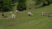 DSC02637