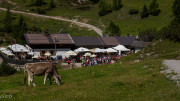 DSC02639