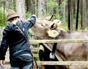 Viehauftrieb zum Vorberg der Marienbergalm – Auftakt zum Almsommer