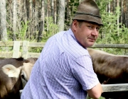Viehauftrieb zum Vorberg der Marienbergalm – Auftakt zum Almsommer