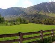 Viehauftrieb zum Vorberg der Marienbergalm – Auftakt zum Almsommer