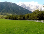 Viehauftrieb zum Vorberg der Marienbergalm – Auftakt zum Almsommer