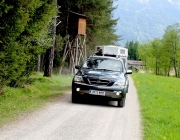 Viehauftrieb zum Vorberg der Marienbergalm – Auftakt zum Almsommer