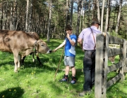 Viehauftrieb zum Vorberg der Marienbergalm – Auftakt zum Almsommer