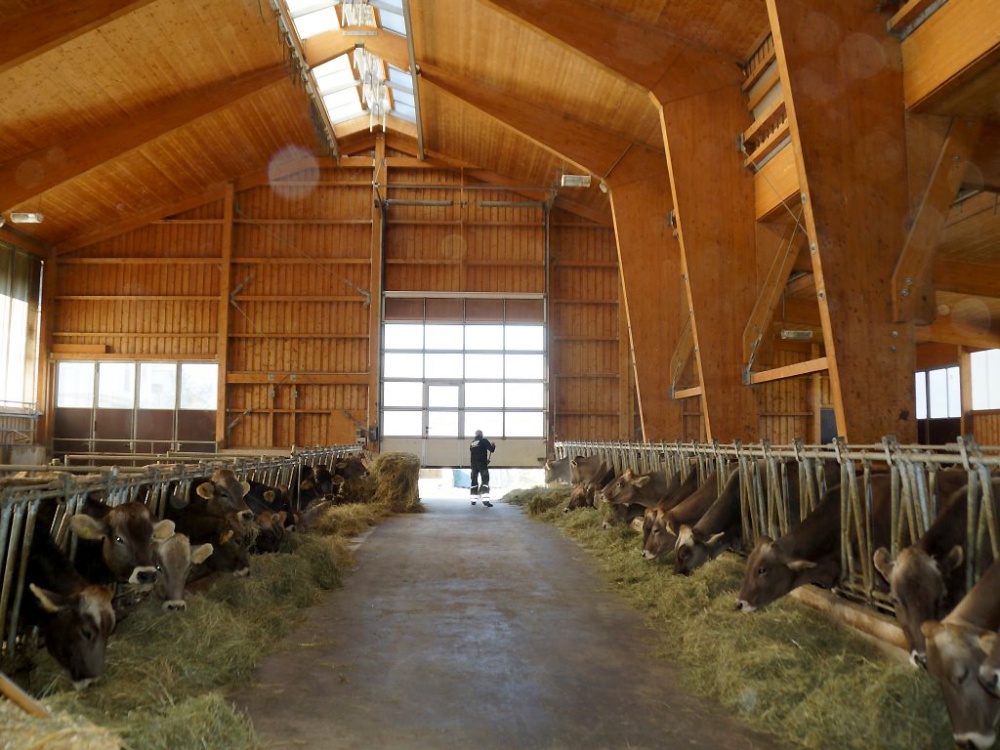 Michelerhof in Mieming – Wo Milch und Joghurt fließen…
