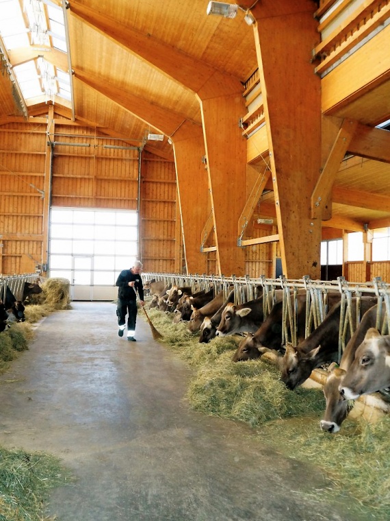 Michelerhof in Mieming – Wo Milch und Joghurt fließen…