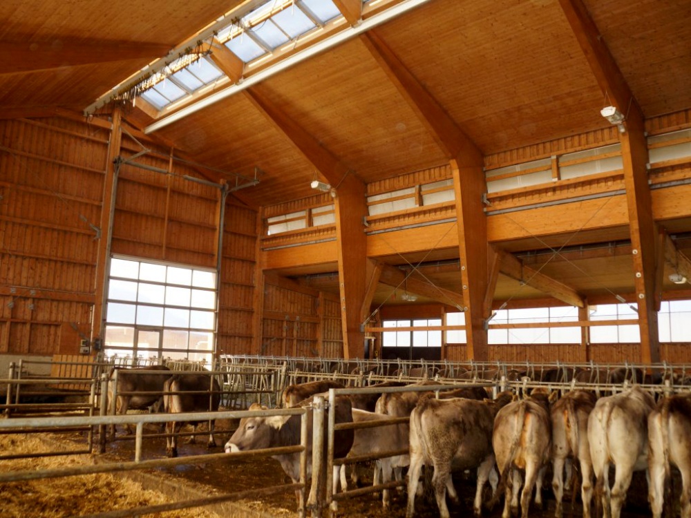 Michelerhof in Mieming – Wo Milch und Joghurt fließen…