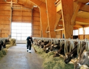Michelerhof in Mieming – Wo Milch und Joghurt fließen…