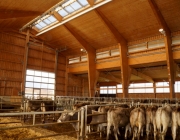 Michelerhof in Mieming – Wo Milch und Joghurt fließen…