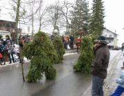 Mieminger Fastnachtsumzug 2011