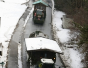 Mieminger Fastnachtsumzug 2011