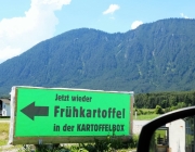 Erdäpfel - Die „Mieminger Frühen“ sind die Besten