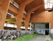 Milchprodukte vom Michelerhof
