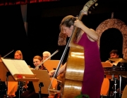 Neujahrskonzert 2015 - Mit Lui Chan, seinem Orchester Festival Sinfonietta Linz und der Sopranistin Eva-Maria Schmid