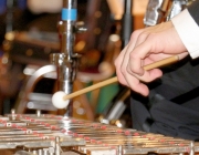 Neujahrskonzert 2015 - Mit Lui Chan, seinem Orchester Festival Sinfonietta Linz und der Sopranistin Eva-Maria Schmid