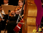 Neujahrskonzert 2016 mit Lui Chan und dem Kammerorchester "Festival Sinfonietta Linz"