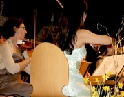 Neujahrskonzert 2016 mit Lui Chan und dem Kammerorchester "Festival Sinfonietta Linz"