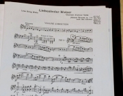 Neujahrskonzert 2016 mit Lui Chan und dem Kammerorchester "Festival Sinfonietta Linz"