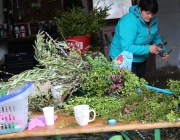 Palmbuschenbinden für Palmsonntag am Steirerhof