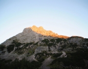Schafschoad 2012 – Tiroler Bergschafe 2272 Meter über Seehöhe