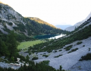 Schafschoad 2012 – Tiroler Bergschafe 2272 Meter über Seehöhe