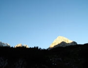 Schafschoad 2012 – Tiroler Bergschafe 2272 Meter über Seehöhe