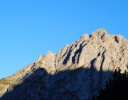 Schafschoad 2012 – Tiroler Bergschafe 2272 Meter über Seehöhe