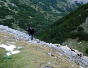 Schafschoad 2012 – Tiroler Bergschafe 2272 Meter über Seehöhe