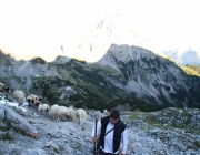 Schafschoad 2012 – Tiroler Bergschafe 2272 Meter über Seehöhe