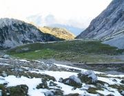 Schafschoad 2012 – Tiroler Bergschafe 2272 Meter über Seehöhe