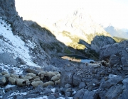 Schafschoad 2012 – Tiroler Bergschafe 2272 Meter über Seehöhe