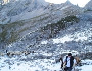 Schafschoad 2012 – Tiroler Bergschafe 2272 Meter über Seehöhe