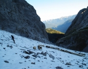 Schafschoad 2012 – Tiroler Bergschafe 2272 Meter über Seehöhe