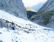 Schafschoad 2012 – Tiroler Bergschafe 2272 Meter über Seehöhe