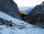 Schafschoad 2012 – Tiroler Bergschafe 2272 Meter über Seehöhe