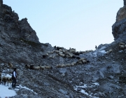 Schafschoad 2012 – Tiroler Bergschafe 2272 Meter über Seehöhe
