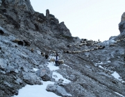 Schafschoad 2012 – Tiroler Bergschafe 2272 Meter über Seehöhe