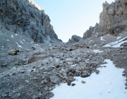 Schafschoad 2012 – Tiroler Bergschafe 2272 Meter über Seehöhe