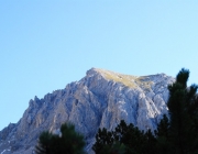 Schafschoad 2012 – Tiroler Bergschafe 2272 Meter über Seehöhe