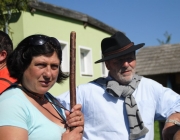 Schafschoad 2012 – Tiroler Bergschafe 2272 Meter über Seehöhe