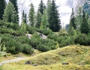 Schafschoad 2017 Seeben Alm/Untermieming – „Regen und Schnee im 20-Minuten-Takt“