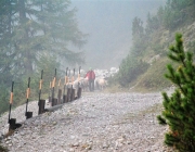 Schafschoad 2017 Seeben Alm/Untermieming – „Regen und Schnee im 20-Minuten-Takt“