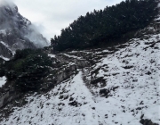 Schafschoad 2017 Seeben Alm/Untermieming – „Regen und Schnee im 20-Minuten-Takt“