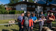 Schafabtrieb-Schafschoad-Untermieming-52-von-69