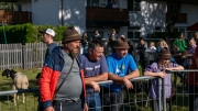 Schafabtrieb-Schafschoad-Untermieming-53-von-69