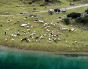 Schafschoad Seeben Alm 2013 – Grünsteinscharte im Schnee